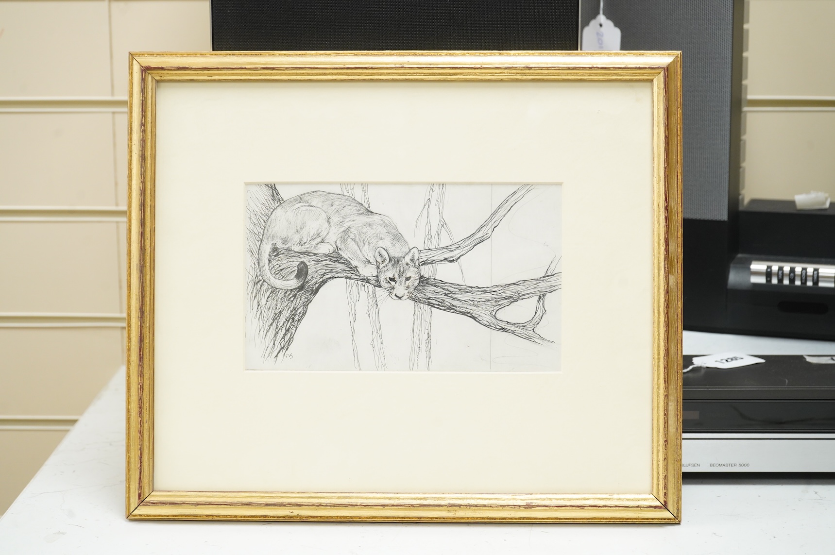 George Vernon Stokes (1873-1954), ‘Cougar’, monogrammed, pen ink, 12.5 x 20cm